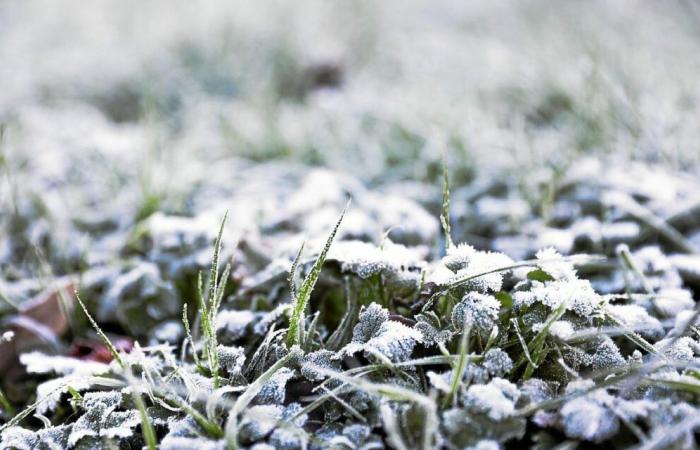 Cold snap and “first winter sensations”: will it snow in Brittany next week?