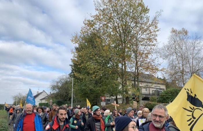 In the south of the Channel, 500 demonstrators against the mega-tomato farm