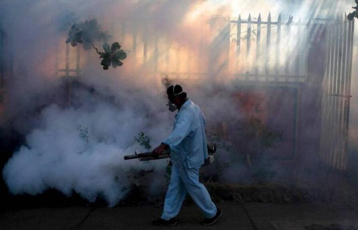 Nearly a fifth of dengue cases attributable to climate change, study finds