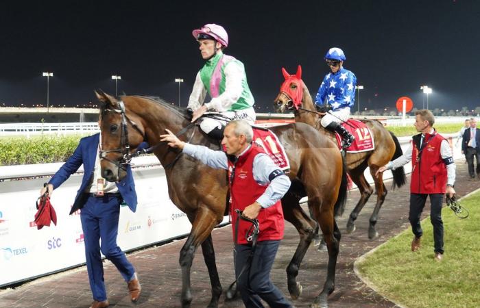 Sir Alex Ferguson wins his 2nd Bahrain International Trophy with Spirit Dancer ahead of the French Calif (3rd) and Andromeda (5th): the GREAT VIDEO REPORT