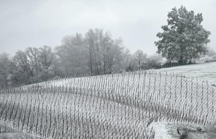 why snowflakes could fall all the way to the plains next week, according to forecasts