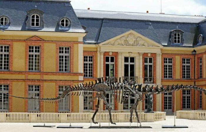 The largest dinosaur skeleton auctioned in France sold for 6 million euros