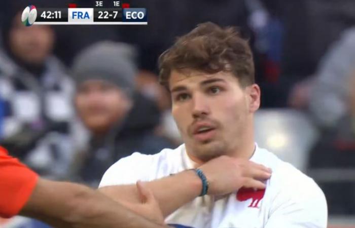 VIDEO. France – New Zealand: “It’s reprehensible…” When Antoine Dupont showed himself annoyed by a decision by the match referee