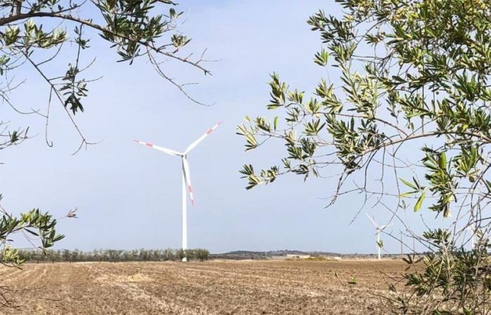 Faced with Swiss slowness, BKW relies on Italy for wind energy – rts.ch