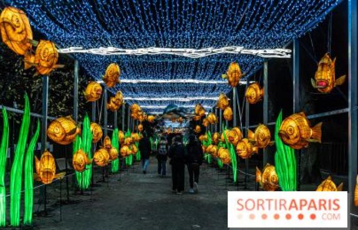 Jurassic in the process of illumination: the 2024-2025 festival of lights at the Jardin des Plantes – photos