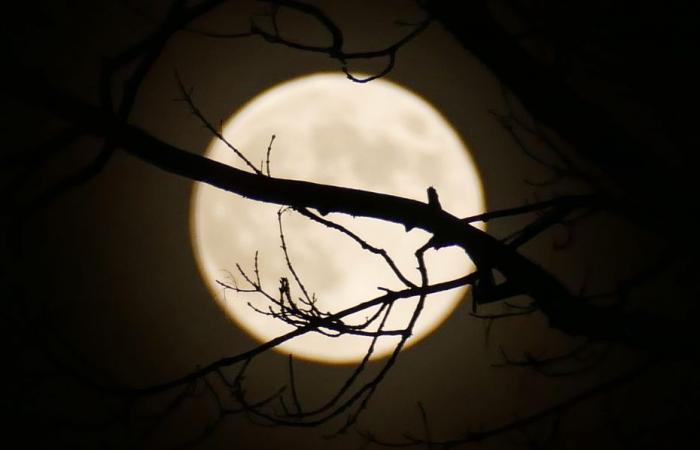 PHOTOS. The last “Super Moon” of the year lit up the sky, a striking spectacle in the night sky