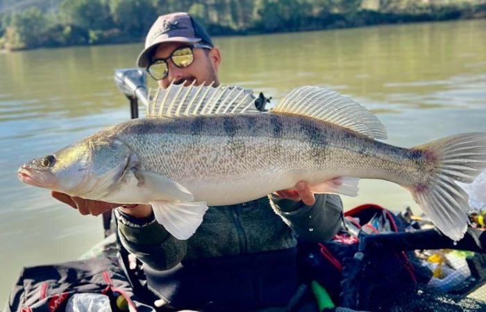 What is this fish that we catch in autumn on the rivers of Aude?