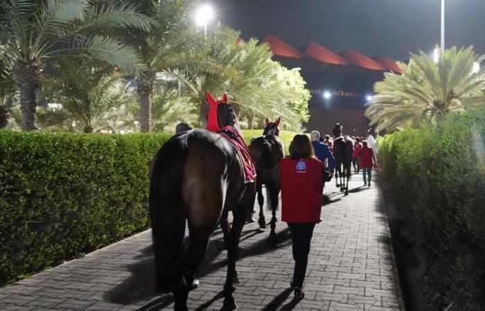 Sir Alex Ferguson wins his 2nd Bahrain International Trophy with Spirit Dancer ahead of the French Calif (3rd) and Andromeda (5th): the GREAT VIDEO REPORT