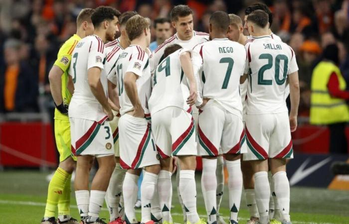 Netherlands – Hungary: the match interrupted after the discomfort of a member of the Hungarian staff