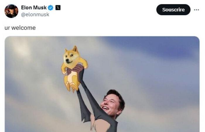 DOGE: the lawsuit against Elon Musk regarding Dogecoin is definitively abandoned