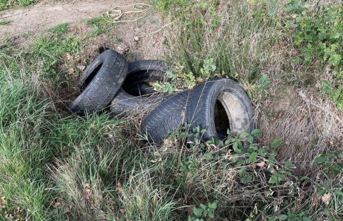 Creuse Grand Sud is organizing a used tire collection from November 19 to 30