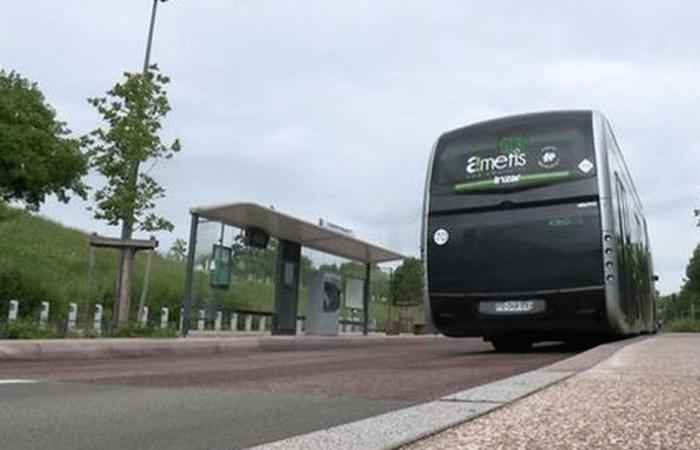 No bus lines are running in Amiens following a breakdown of geolocation services