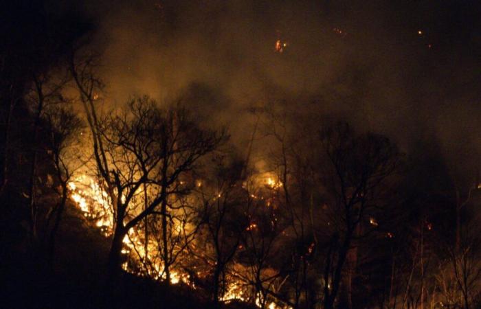 Firefighters are closer to taming the wildfire that’s across the New Jersey-New York border