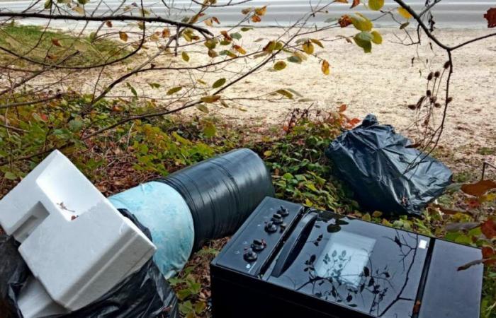 Houtaud. Yet another wild dump observed on the edge of the forest