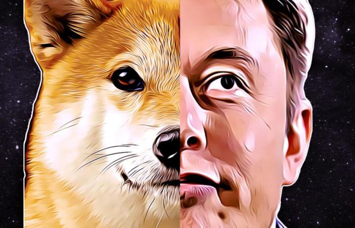 DOGE: the lawsuit against Elon Musk regarding Dogecoin is definitively abandoned