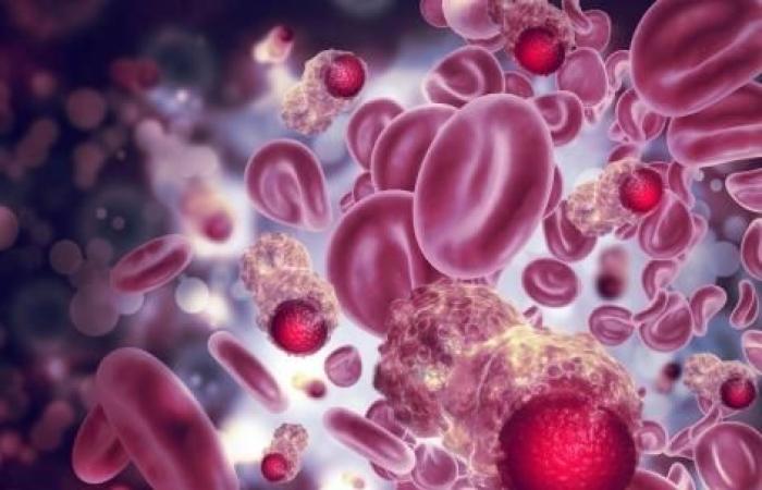 SARS-CoV-2 could help fight cancer