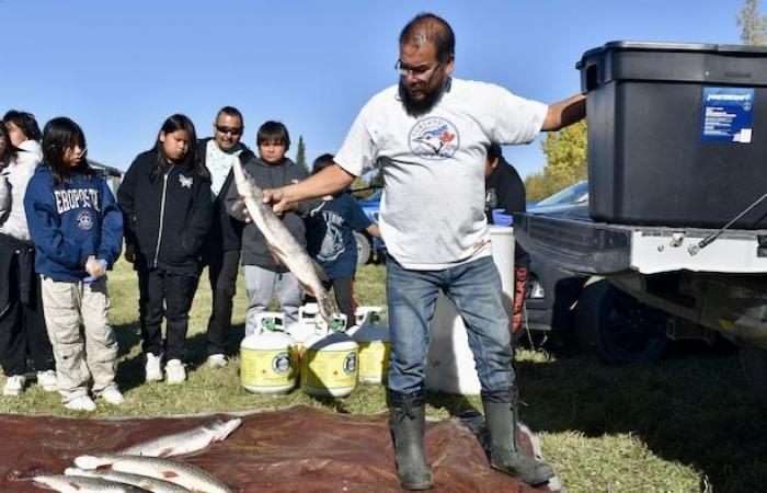 Grassy Narrows: the poisonous river