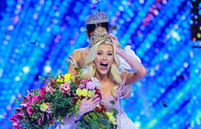 Miss Denmark Wins 2024 Miss Universe Pageant