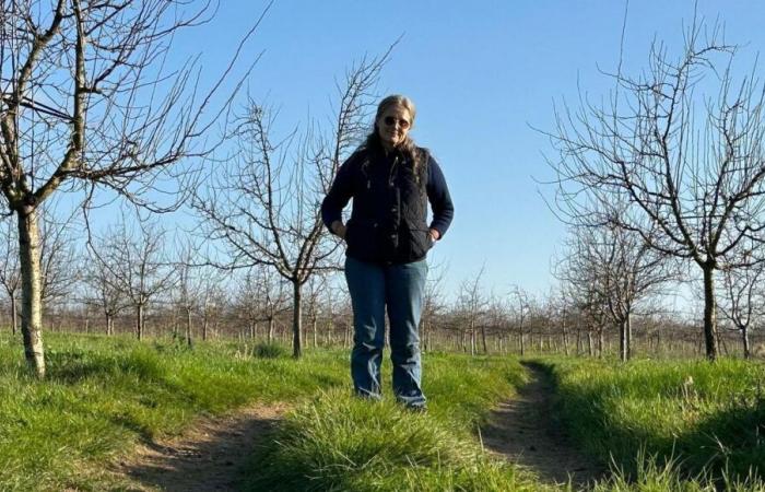 “Hello, it’s Michel Barnier”: the Prime Minister calls the Dordogne farmer who testified about suicide