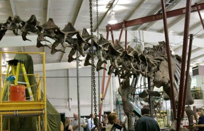 A giant dinosaur skeleton sold for 4.7 million euros