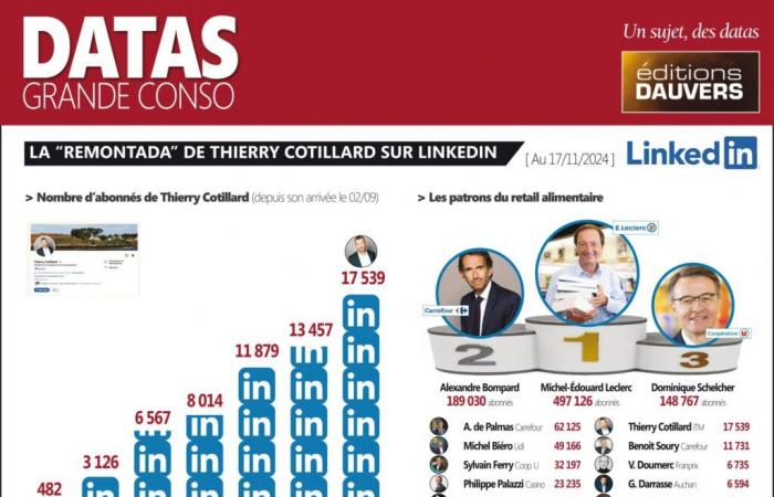 Linkedin: Thierry Cotillard joins the Top 10, MEL is familiar with 500K subscribers