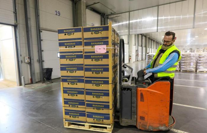 Primver deploys its activity internationally at the fruit terminal of the port of Sète (Hérault)