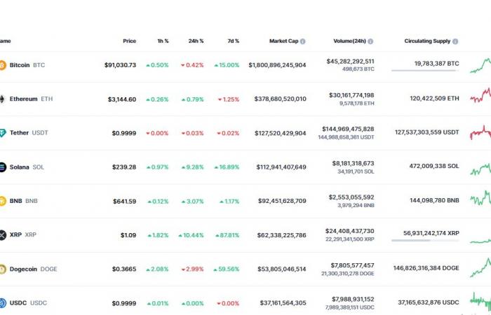 XRP Flips Dogecoin After Epic Rally Past $1