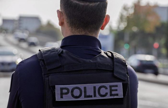 He fatally stabs a man and flees near Lyon