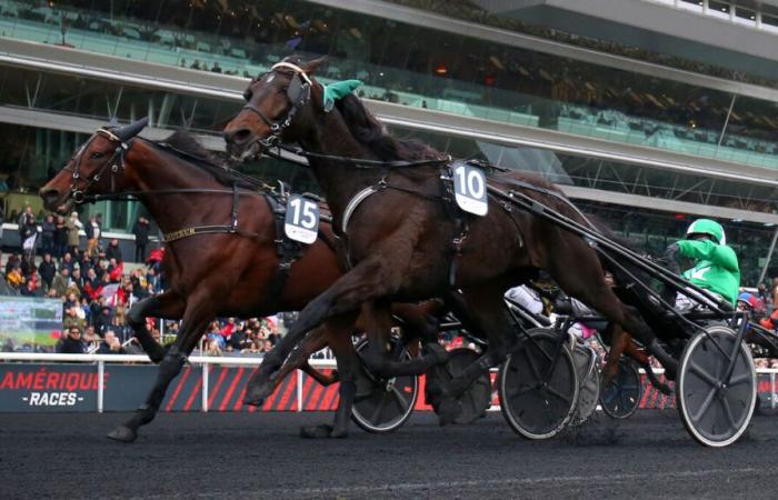 PMU – Arrival of the quinté on Sunday, November 17 at Paris-Vincennes: Hussard du Landret first qualified for America