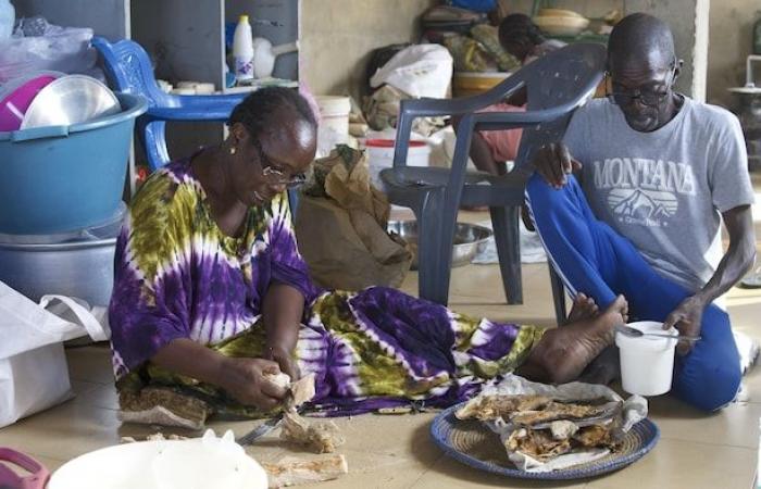 “Death is no longer scary”: in Senegal, the exodus by the ocean | The migrant crisis