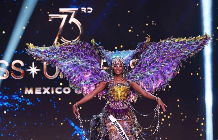 Miss Universe 2024: See all the best national costumes