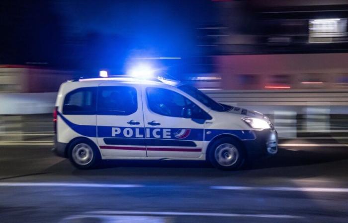 A man killed by police in Val-de-Marne after “threatening” officers with a handgun