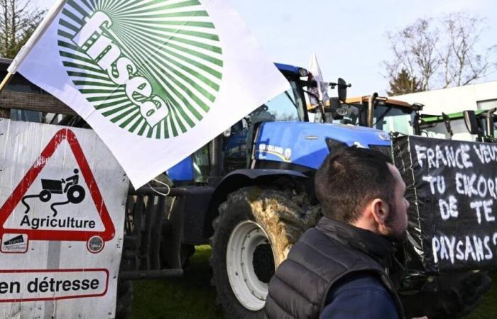 Channel farmers, angry at the EU-Mercosur treaty, take action