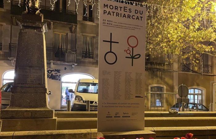 A month for the elimination of violence against women, among professionals and the general public, in Lozère