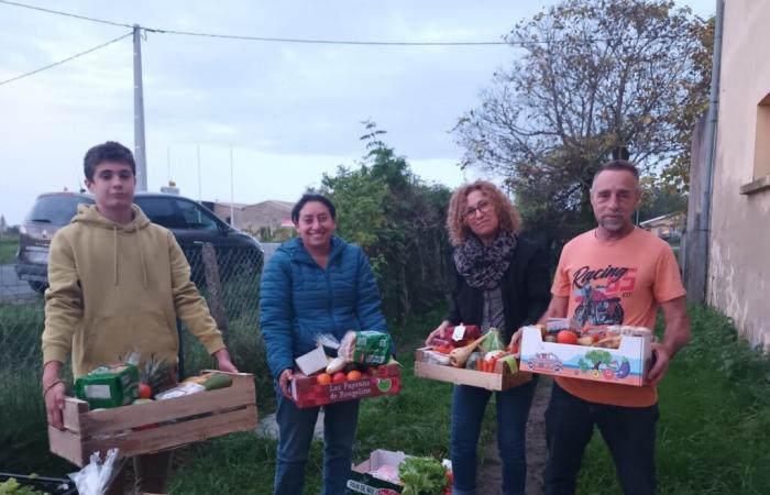 This Gironde association organizes marauding in the vineyards for the homeless