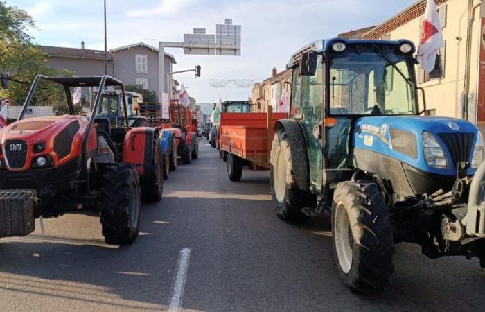 Agricultural crisis: new snail operations and field fires in Drôme-Ardèche Monday November 18