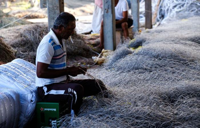 The Press in Guyana | Social tensions in the new oil Eldorado