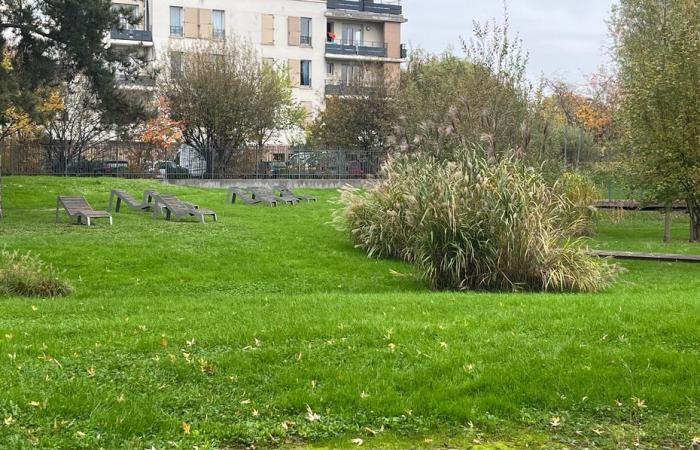 REPORTING. Floods, flooding of the Seine… Is Greater Paris ready to face torrential rains like in Spain?