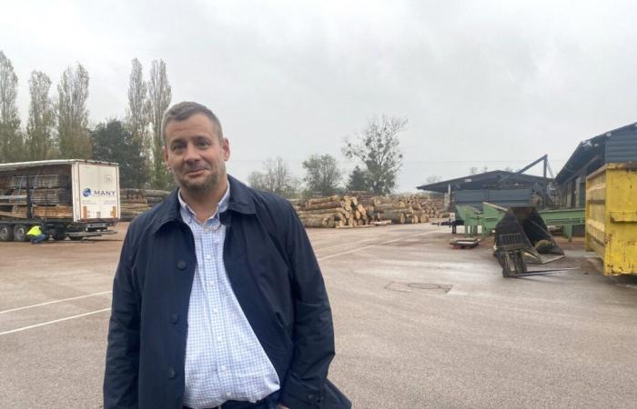 how this Jura sawmill is reinventing itself to become a market leader