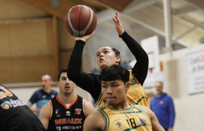 Wheelchair basketball. So close so far, Lannion falls face to face with Meaux