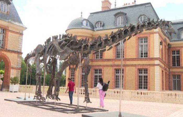 A collector pays a huge sum to buy the skeleton of the largest dinosaur ever put up for auction in France