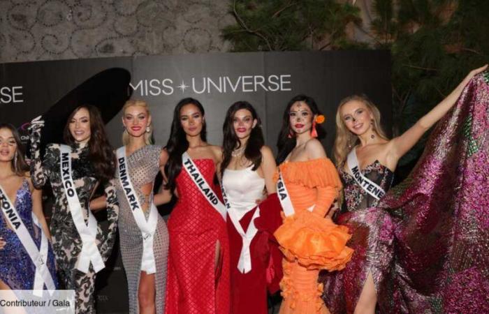 Miss Universe 2024: who is the winner Victoria Kjær Theilvig, Miss Denmark?