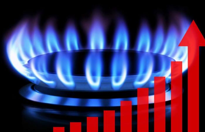 Gas – The benchmark price starts to rise again in December – News