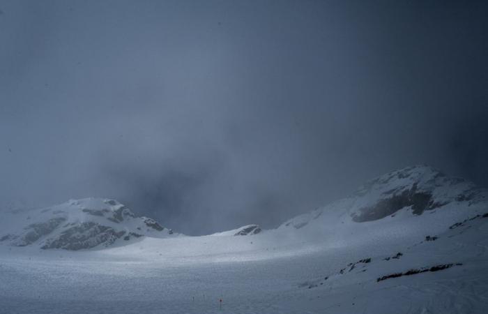 Morning on Blackcomb | The Press