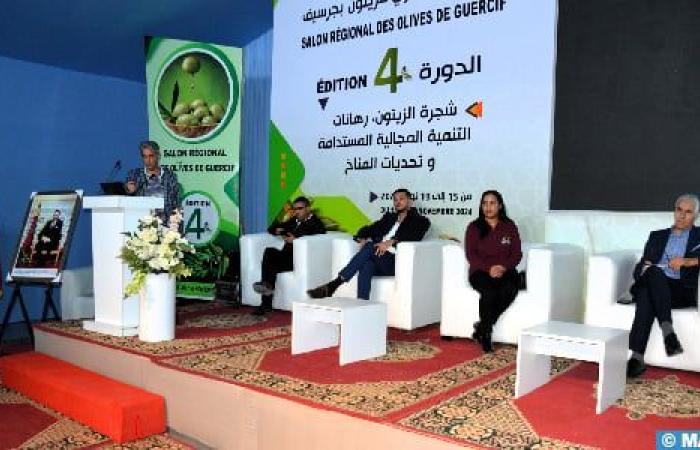 Guercif: Saving irrigation water, an essential option for dealing with climate change (symposium)