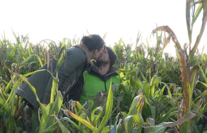 Of love and popcorn, Lola and Florian from L'Amour est dans le pré live happily in Creuse