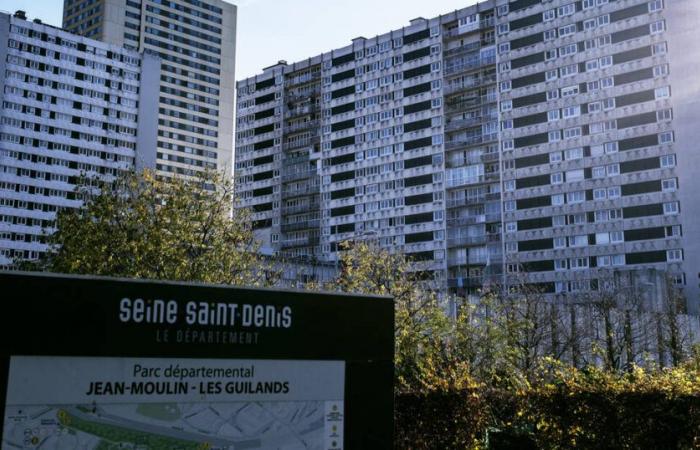 In Seine-Saint-Denis, better support towards employment without the burden of RSA – Libération