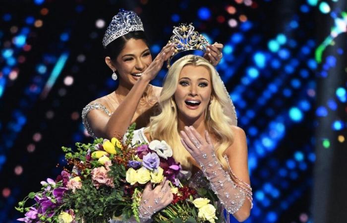 Miss Denmark elected Miss Universe, Frenchwoman Indira Ampiot in 20th position