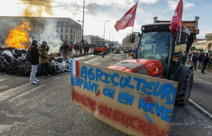 Vaucluse. Monday November 18, farmers should block the Europe and Daladier bridges