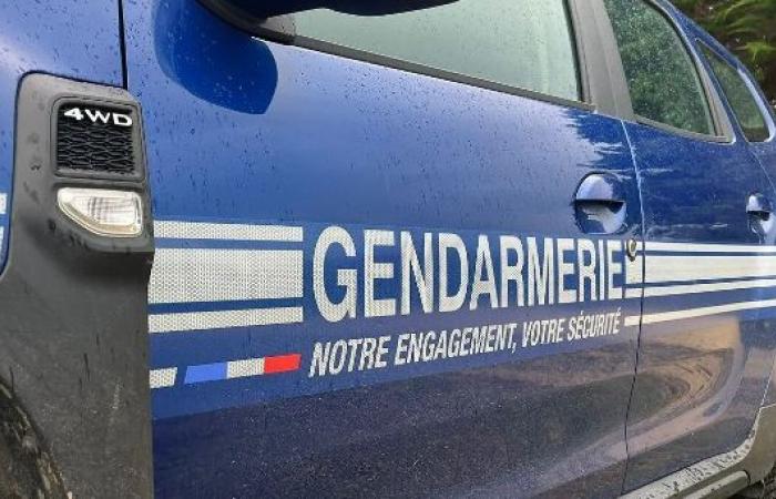 Haute-Savoie: a 17-year-old young man shot dead in the city center of Rumilly